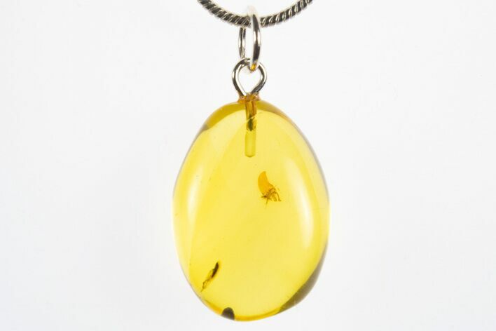 Polished Baltic Amber Pendant (Necklace) - Contains Insect! #311009